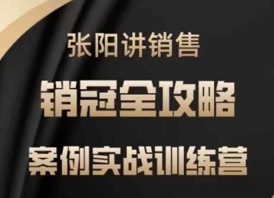 张阳讲销售实战训练营，​案例实战训练，销冠全攻略-仙女副业网