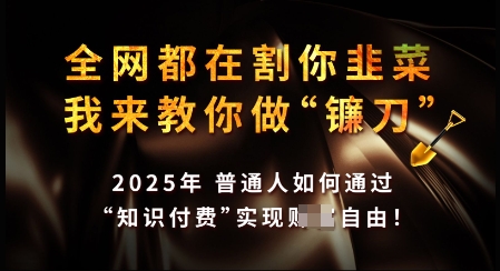 知识付费如何做到月入过W+，2025我来教你做“镰刀”【揭秘】-仙女副业网
