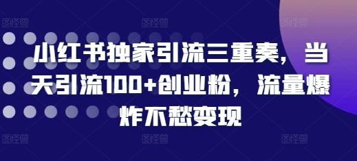 小红书独家引流三重奏，当天引流100+创业粉，流量爆炸不愁变现【揭秘】-仙女副业网