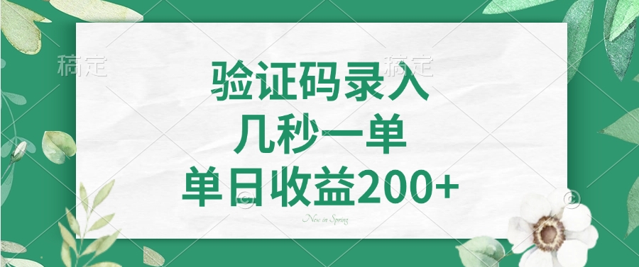 验证码录入，几秒一单，单日收益200+-仙女副业网