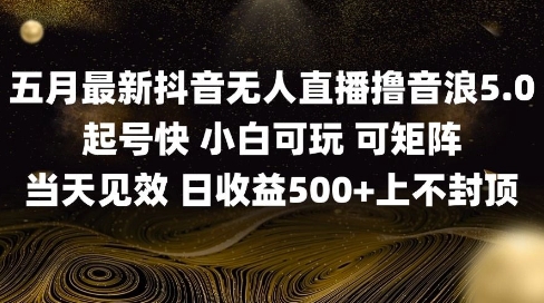 2025五月最新无人直播撸音浪单日产出5张+实操教程【揭秘】-仙女副业网