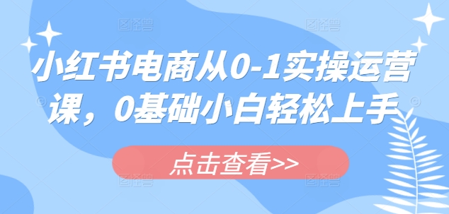 小红书电商从0-1实操运营课，0基础小白轻松上手-仙女副业网