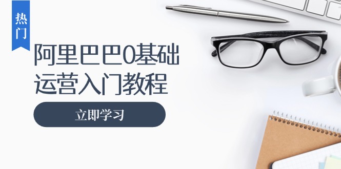 阿里巴巴运营零基础入门教程：涵盖开店、运营、推广，快速成为电商高手-仙女副业网