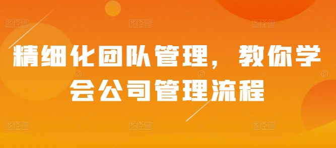 精细化团队管理，教你学会公司管理流程-仙女副业网