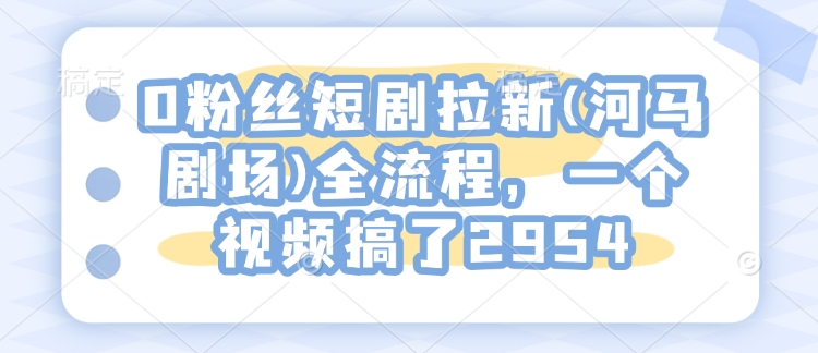 0粉丝短剧拉新(河马剧场)全流程，一个视频搞了2954-仙女副业网