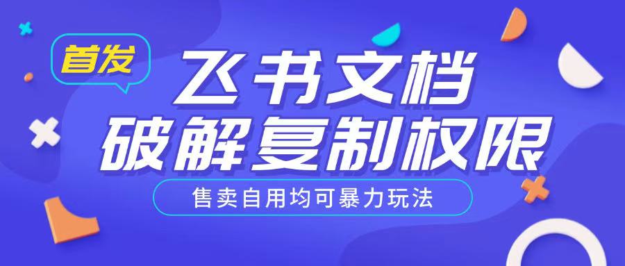 首发飞书文档破解复制权限，售卖自用均可暴力玩法-仙女副业网