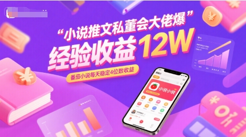 小说推文私董会大佬爆单经验分享收益12W，番茄小说每天稳定4位数收益-仙女副业网