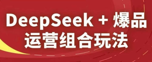 DeepSeek+爆品运营组合玩法，2025淘系精品课-仙女副业网