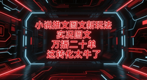 小说推文图文新玩法，实况图文，万播二十单，这转化太牛了！-仙女副业网