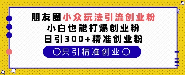 朋友圈小众玩法引流创业粉，小白也能打爆创业粉，日引300+精准创业粉【揭秘】-仙女副业网