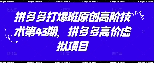 拼多多打爆班原创高阶技术第43期，拼多多高价虚拟项目-仙女副业网