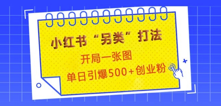 小红书“另类”打法，开局一张图，单日引爆500+精准创业粉【揭秘】-仙女副业网