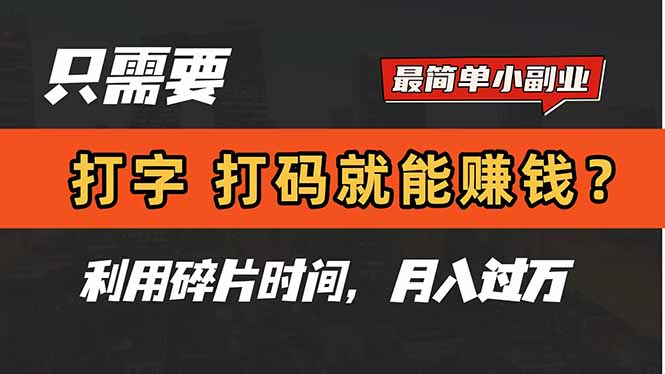 只需要打字，打码，就能赚钱？简单的赚钱小副业，利用碎片时间，月入过万-仙女副业网