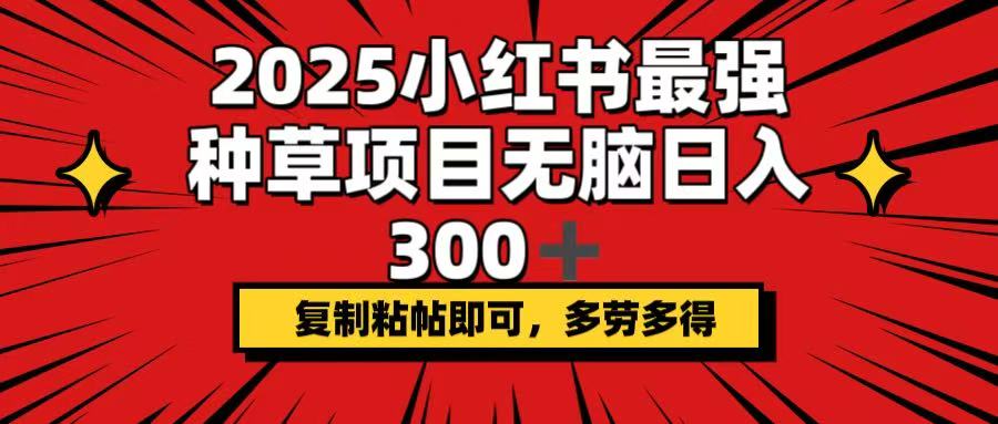 2025小红书最强种草项目，无脑日入300+，复制粘帖即可，多劳多得-仙女副业网