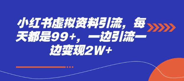 小红书虚拟资料引流，每天都是99+，一边引流一边变现2W+-仙女副业网