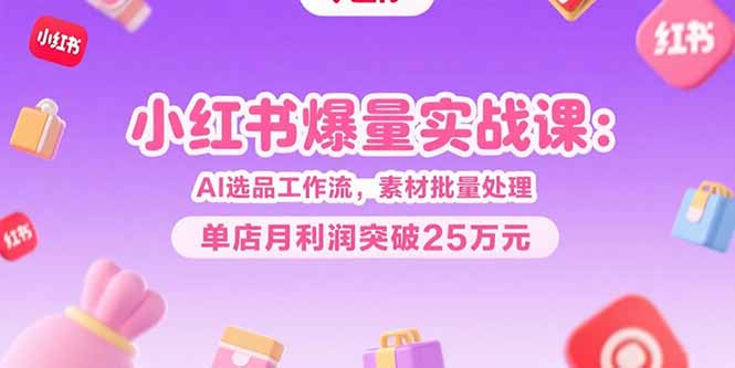 小红书爆量实战课：AI选品工作流，素材批量处理，单店月利润突破25万元-仙女副业网