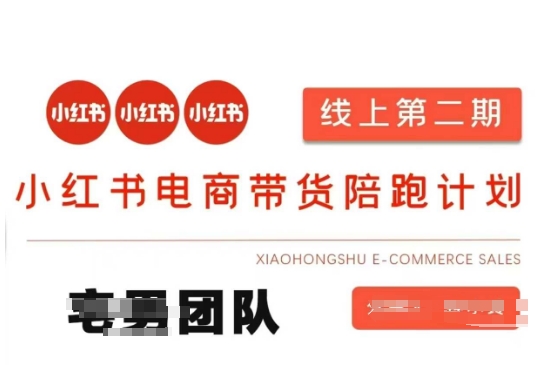 小红书电商带货课2期，月利润20个的小红书电商的有货源，无货源，虚拟产品，付费投流等整套玩法-仙女副业网