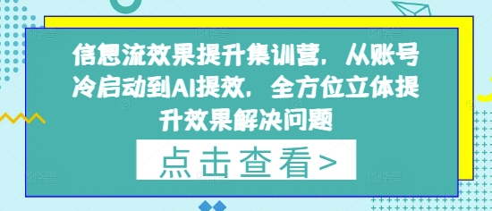 信息流效果提升集训营，从账号冷启动到AI提效，全方位立体提升效果解决问题-仙女副业网