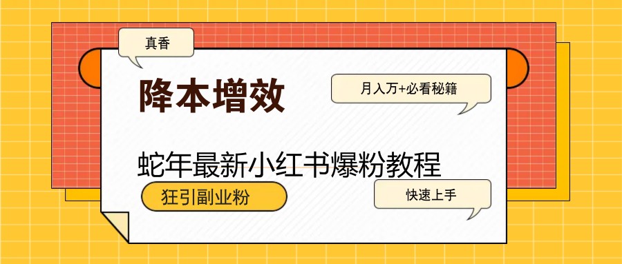 蛇年最新小红书爆粉教程，狂引副业粉，月入万+必看-仙女副业网