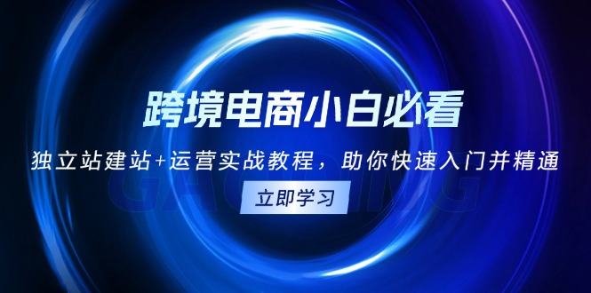 跨境电商小白必看！独立站建站+运营实战教程，助你快速入门并精通-仙女副业网