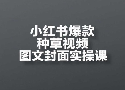 小红书爆款种草视频图文封面实操课，​开店、选品、引流、变现全流程-仙女副业网