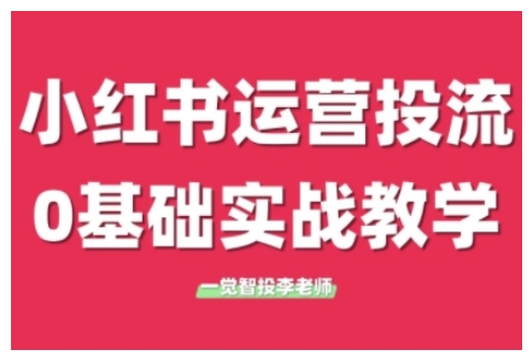 小红书运营投流，小红书广告投放从0到1的实战课，学完即可开始投放(更新)-仙女副业网