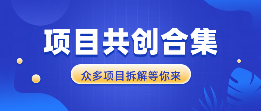 项目共创合集，从0-1全过程拆解，让你迅速找到适合自已的项目-仙女副业网