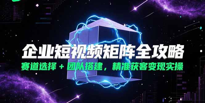 企业短视频矩阵全攻略，赛道选择+团队搭建，精准获客变现实操-仙女副业网