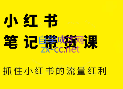 张宾·小红书笔记带货课(更新4月)-仙女副业网