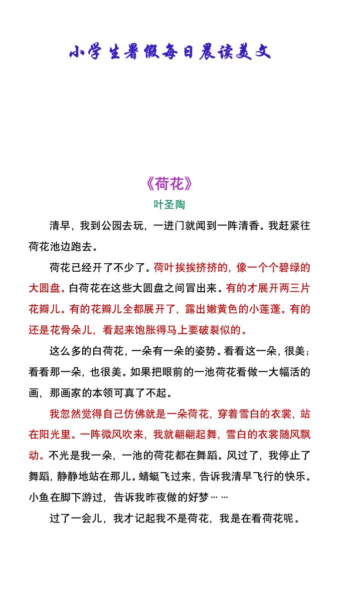 小学生暑假每日晨读美文：叶圣陶《荷花》-小升初语文-仙女副业网