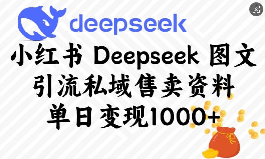 小红书Deepseek图文引流私域售卖资料，单日变现多张-仙女副业网