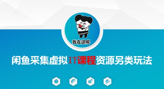 闲鱼采集虚拟IT课程资源另类玩法，干货满满-仙女副业网