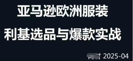 跨境电商选品案例24-25年，聚焦跨境电商选品策略与运营优化，助力卖家挖掘蓝海市场-仙女副业网