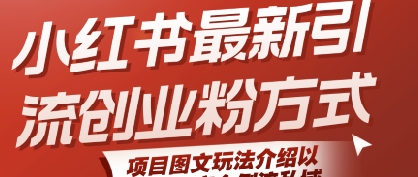 小红书最新引流创业粉方式，项目图文玩法介绍以及如何安全倒流私域-仙女副业网