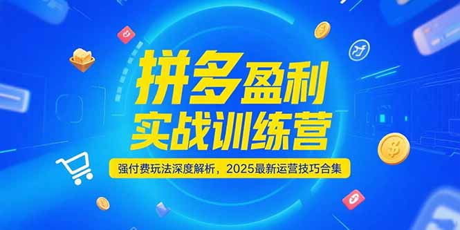 拼多多盈利实战训练营，强付费玩法深度解析，2025运营技巧合集-更新6月-仙女副业网