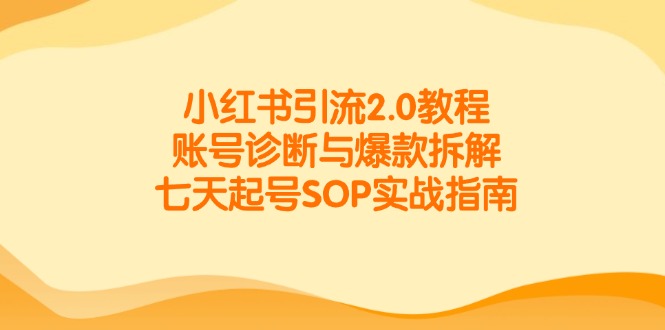 小红书引流2.0教程，账号诊断与爆款拆解，七天起号SOP实战指南-仙女副业网