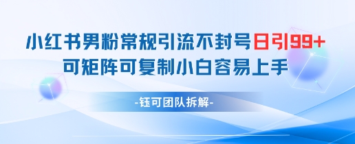 小红书男粉常规引流不封号日引99+变现简单 可矩阵可复制小白容易上手-仙女副业网
