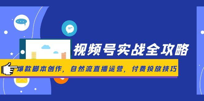 视频号实战全攻略，爆款脚本创作，自然流直播运营，付费投放技巧-仙女副业网