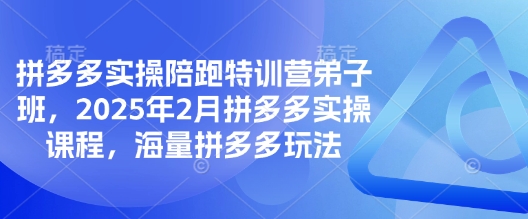 拼多多实操陪跑特训营弟子班，2025年2月拼多多实操课程，海量拼多多玩法-仙女副业网