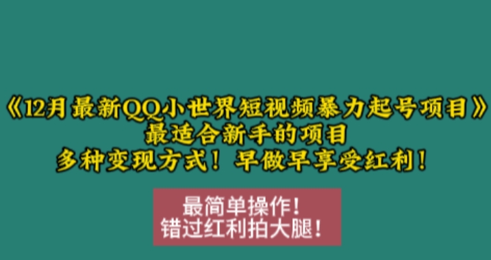 12月最新QQ小世界短视频暴力起号项目，最适合新手的项目，多种变现方式-仙女副业网