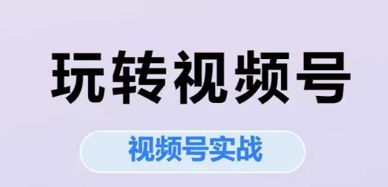玩转视频号，视频号实战系列课-仙女副业网