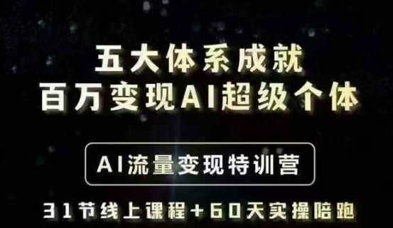 五大体系成就百万变现AI超级个体- AI流量变现特训营，一步一步教你一个人怎么年入百W-仙女副业网
