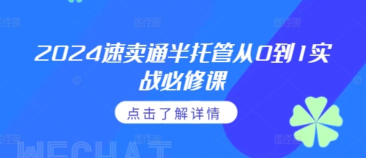 2024速卖通半托管从0到1实战必修课，掌握通投广告打法、熟悉速卖通半托管的政策细节-仙女副业网