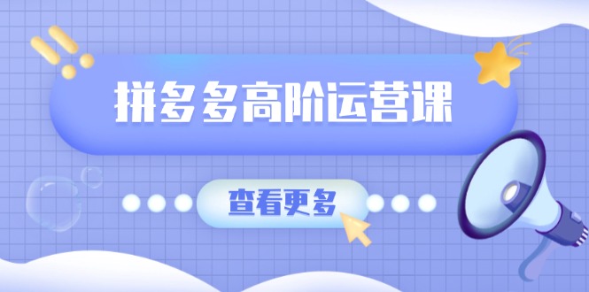 拼多多高阶运营课：极致群爆款玩法，轻付费无尽复制，打造单品爆款之路-仙女副业网