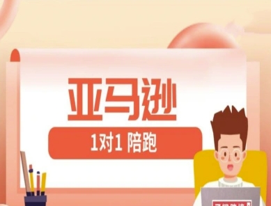 亚马逊1对1陪跑课(FBA/FBM精铺)跨境亚马逊教程-仙女副业网