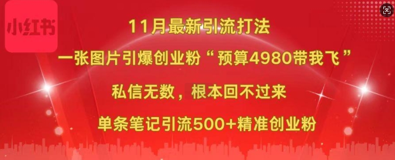 小红书11月最新图片打粉，一张图片引爆创业粉，“预算4980带我飞”，单条引流500+精准创业粉-仙女副业网