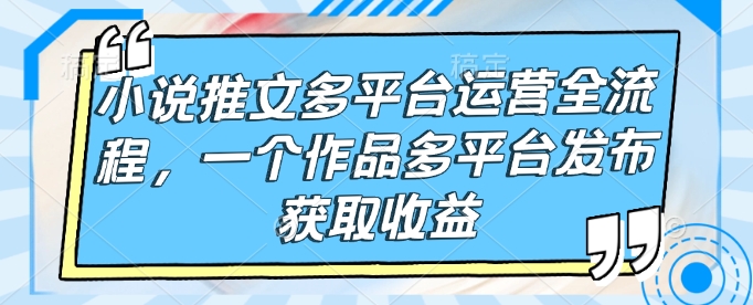 小说推文多平台运营全流程，一个作品多平台发布获取收益-仙女副业网