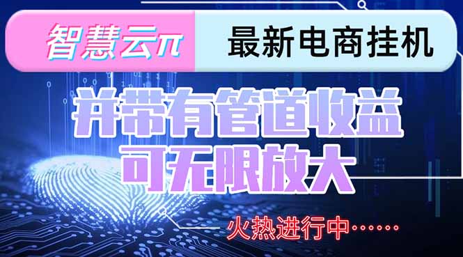 智慧云π电脑挂机单机每天收益300—500+ 并带有团队管道收益 可无限放大-仙女副业网