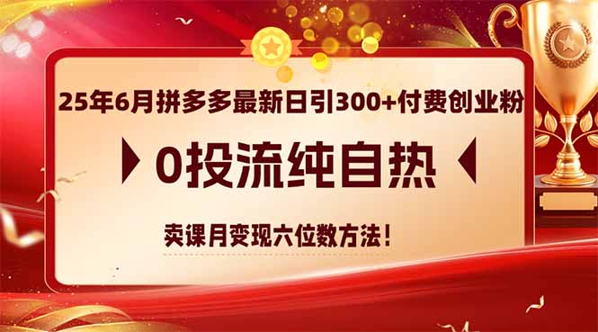 25年6月拼多多最新日引300+付费创业粉，0投流纯自热 卖课月变现六位数方法-仙女副业网