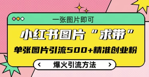 小红书图片‘求带’爆火引流法，单张图片引流500+精准创业粉【揭秘】-仙女副业网